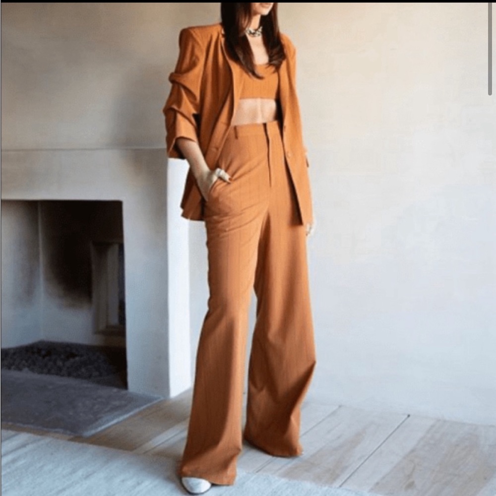DANIELLE BERNSTEIN 3 Pcs Suit, Jacket, Pants + Crop Top - Excel. Condition Suit